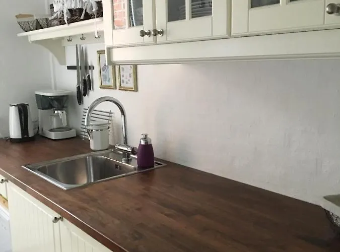 Birkevej 9, Ry Apartment